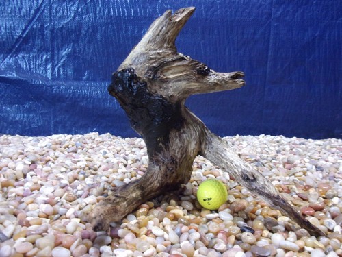 Medium driftwood x11 - , 11"x11"x11"