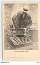 MONTFAVET - hive of a swarm - beekeeping - hive - 19106
