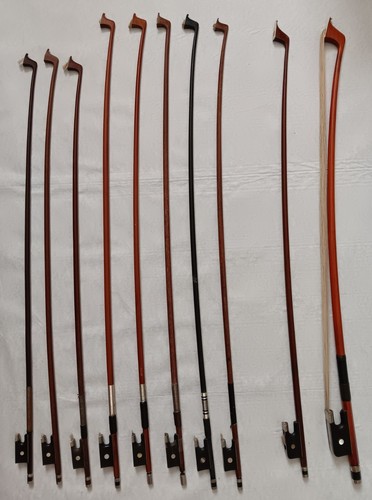 Bows étude for - 10, d'étude
