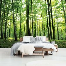 Wall Mural photo wallpaper Sunny Green Forest Scene approx. 366 x 254 cm Trees