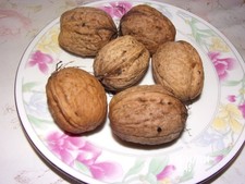 8 kg de noix fraîches, de