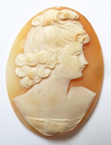 Camée sur coquille profil - , de