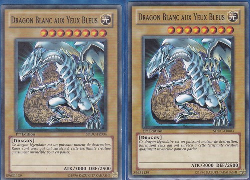 2x dragon blanc - 2x,