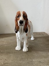 Chien Cocker Epagneul Royal