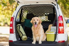 Filet de séparation professionnel pour chien, grille de séparation pour chien