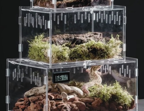 Acrylic reptile terrarium box - terrarium,