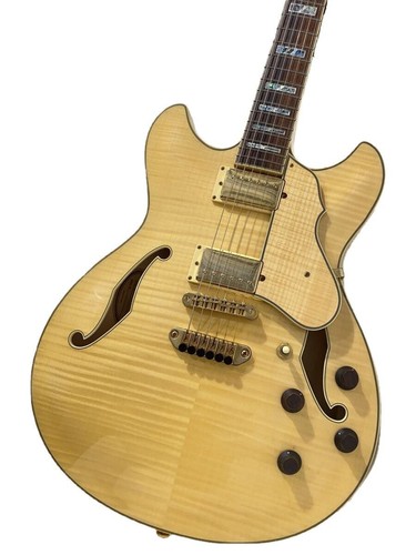 Ibanez electric guitar - ibanez,