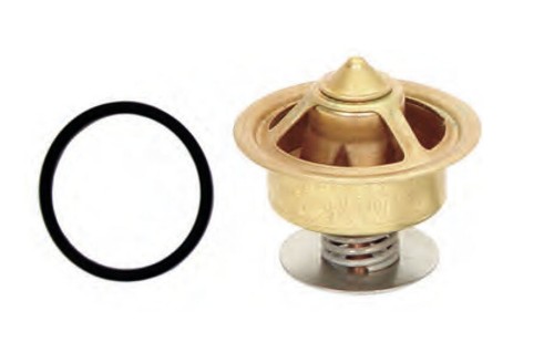 Boot motor thermostat - motor,