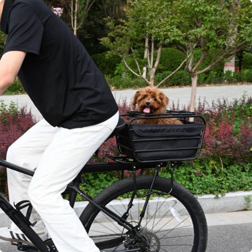 Panier vélo pour - pour, chien