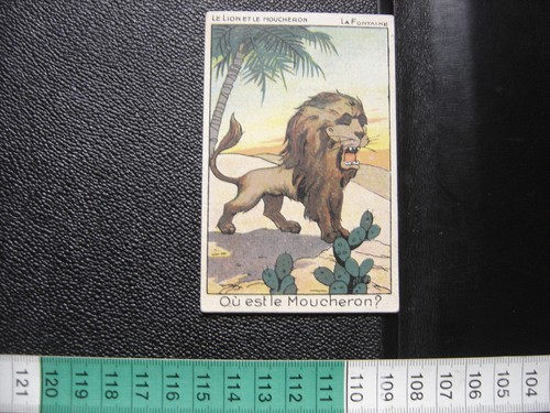 Chromo chocolat roval - roval, lion