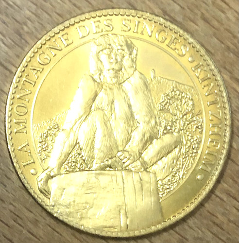 2013 montagne des singes - 2013, la