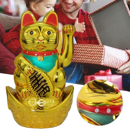 Caisse pour chat - , chanceux