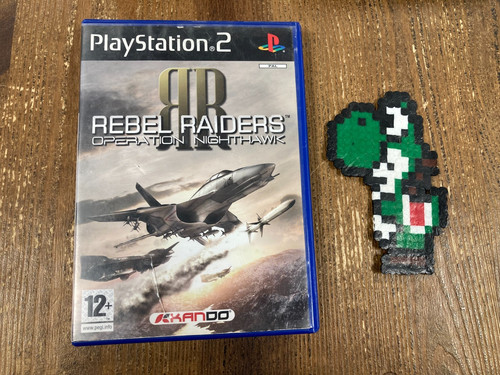 Rebel raiders operation