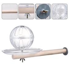  Jouet Calopsitte Accessoires