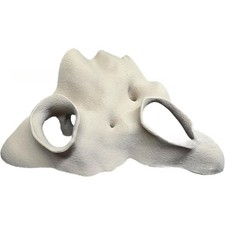 Cachette d'angle fausse racine de mangrove aquarium terrarium aspect naturel pou