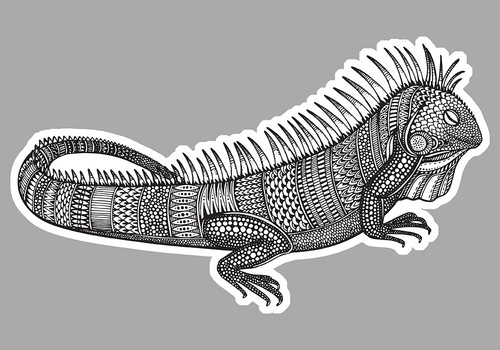 Iguane varan lezard - varan, ethnique