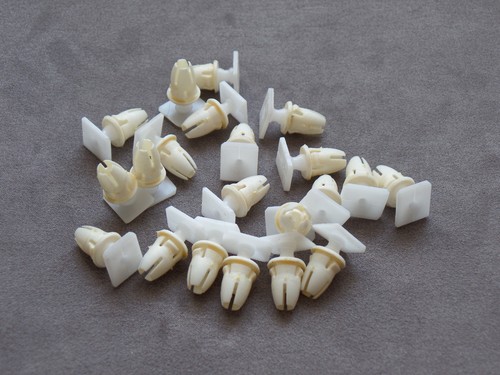 Clips fixation lèvre de - 15,
