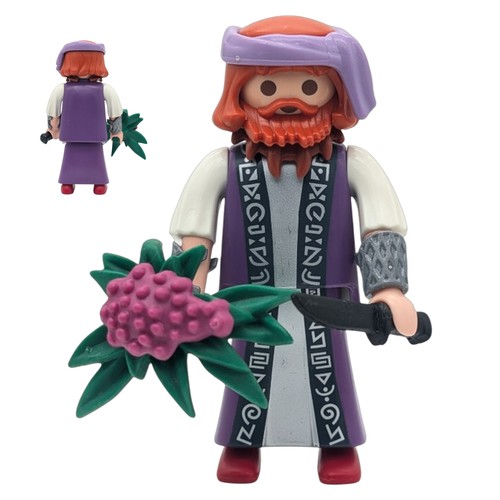 Playmobil figurine sorcier