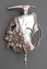 Insigne Badge Ski Montagne