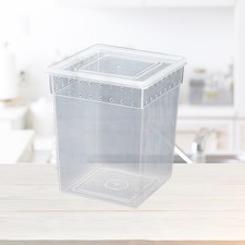  Boite Araignee Terrarium Araignée Sauteuse Conteneur De Enclos Lézard