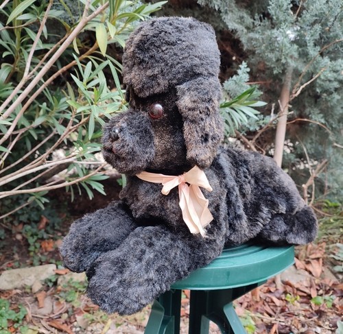 Ancien grand chien - ancien,