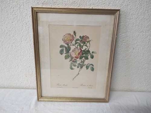Cadre 29x23 5cm - 29x23,5cm, lithographie