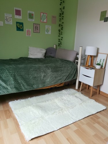 Neuf tapis poils longs 120 - tapis,