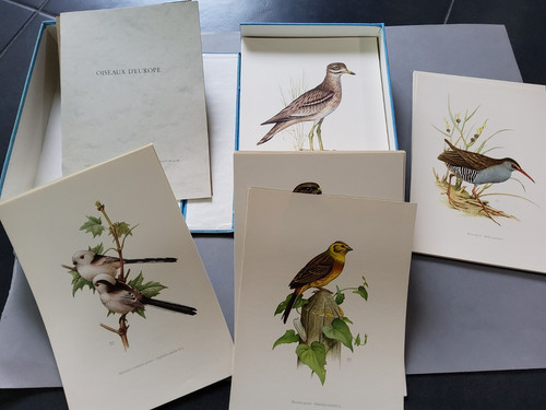 Heinroth les oiseaux - heinroth,