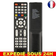 ✅ Télécommande RCG008