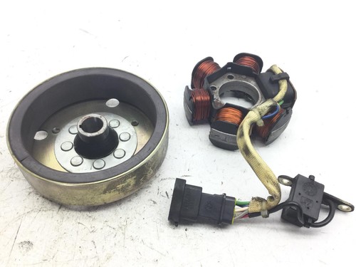Stator with flywheel - flywheel, starter