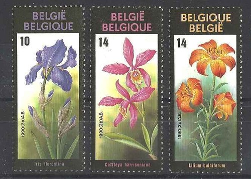 Timbres flore belgique - timbres,