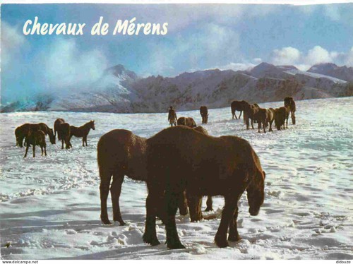 Carte postale animaux - -,