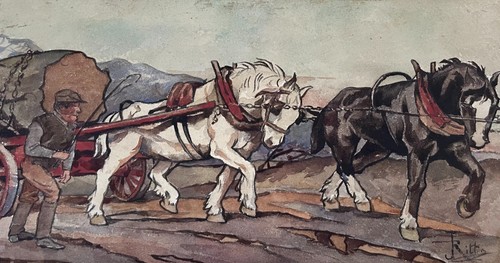 Chevaux trait aquarelle - trait,,