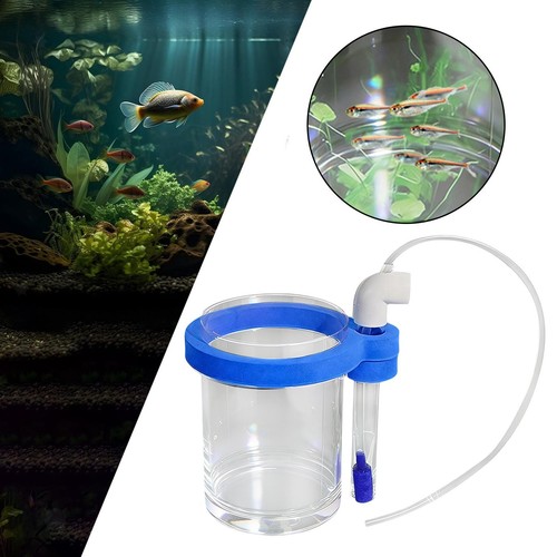 Boîte élevage poissons - boîte, d'élevage