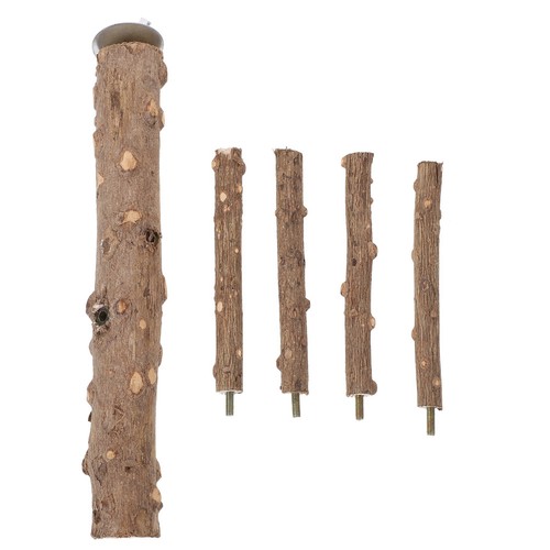 Accessoire pour calopsitte - accessoire,