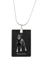 Berger de Beauce, Beauceron -