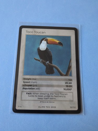 Life tcg birds - toco, toucan