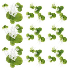  2 Packs/36PCS Plantes