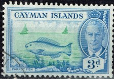British Caiman Islands Marine Life Parrot Fish stamp 1947