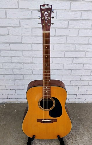 Blueridge acoustic - blueridge,