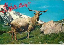 Carte Postale - Animaux -