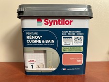 Syntilor Peinture Rénov'