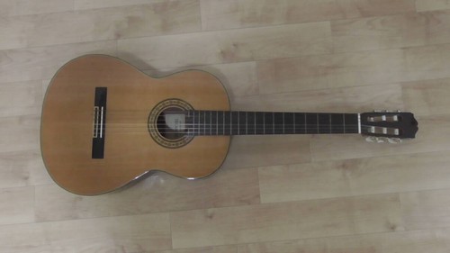 Takamine classic guitar - classic,