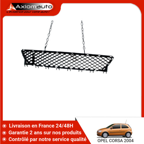 Grille pare choc - 🇫🇷,