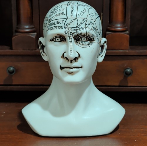 Paperweight man head brain - man,