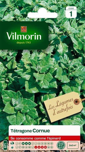 Tétragone cornue légume - tétragone, cornue-