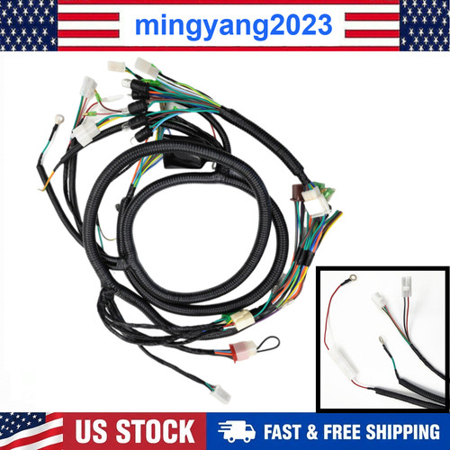 Complete main wiring - complete,