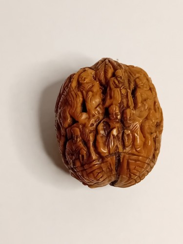 Noix sculptee asie - noix, xix