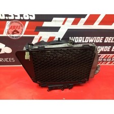 Radiateur d'eau gauche complet