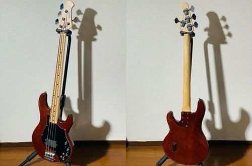 Basse électrique music - basse,
